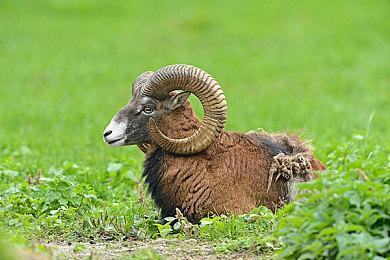 《新世界》玩家发现无敌漏洞 操作极其简单